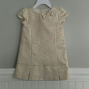 Gymboree 🌼 Shimmering dress